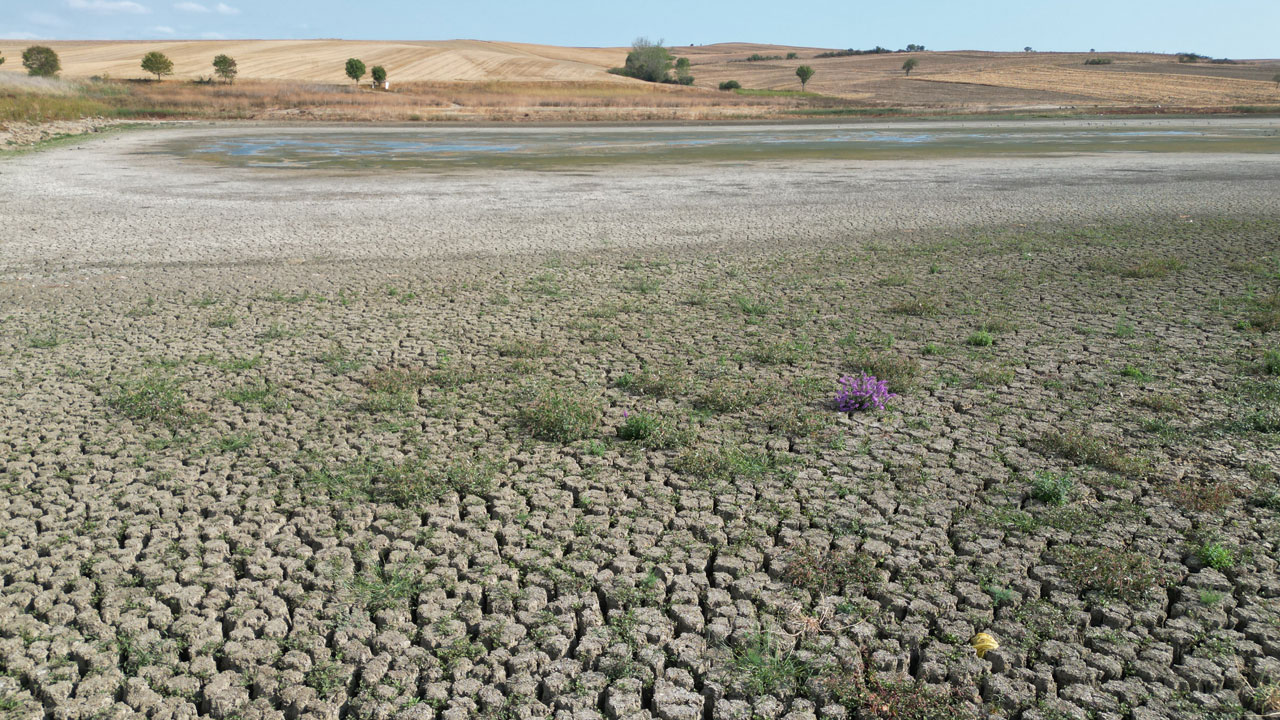 Kuraklık vurdu, hayat durdu! Tekirdağ’da korkutan tablo