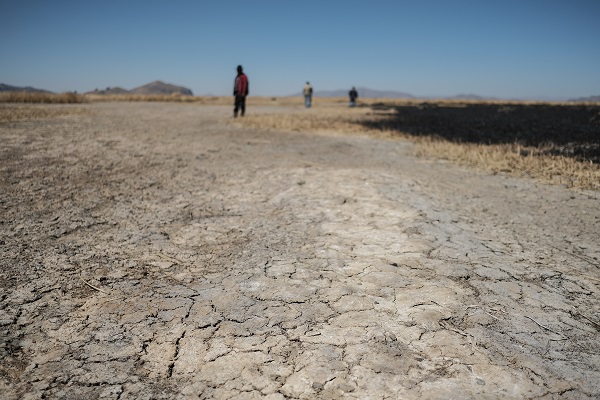 Foto - Kuraklık yaşam tarzlarını tehdit ediyor
