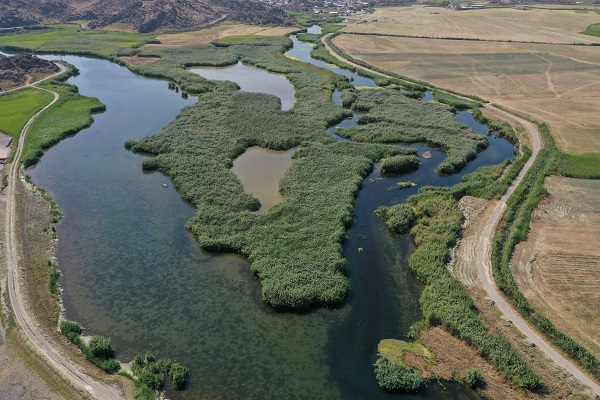 Foto - Kuraklık yüzünden kuş türleri buraya uğramaz oldu! 