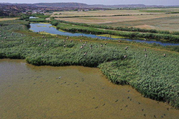 Foto - Kuraklık yüzünden kuş türleri buraya uğramaz oldu! 