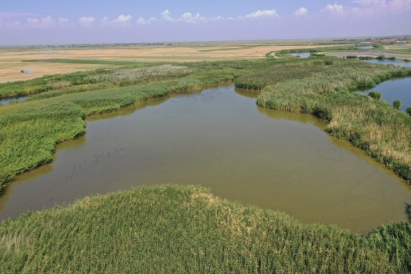 Foto - Kuraklık yüzünden kuş türleri buraya uğramaz oldu! 