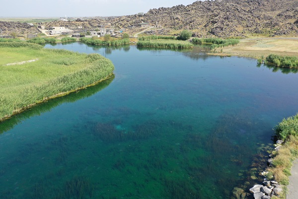 Foto - Kuraklık yüzünden kuş türleri buraya uğramaz oldu! 