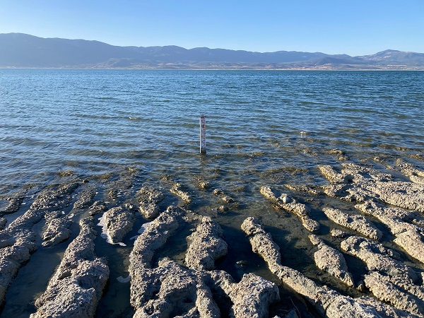 Foto - Kuraklıkla boğuşan gölde allı turnaların son dansı