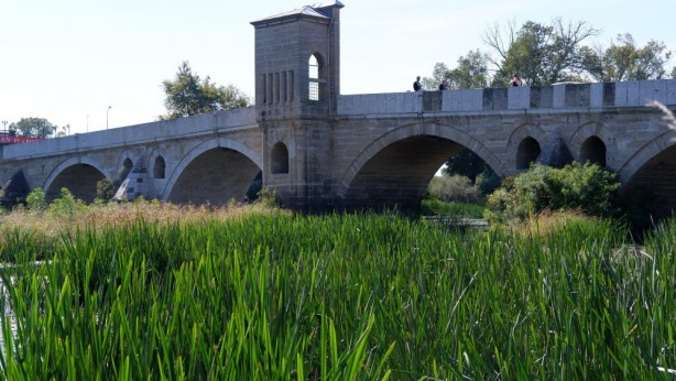 Foto - Kuraklıkla karşı karşıya kalan Tunca Nehri yeşillendi: İçler acısı bir durum