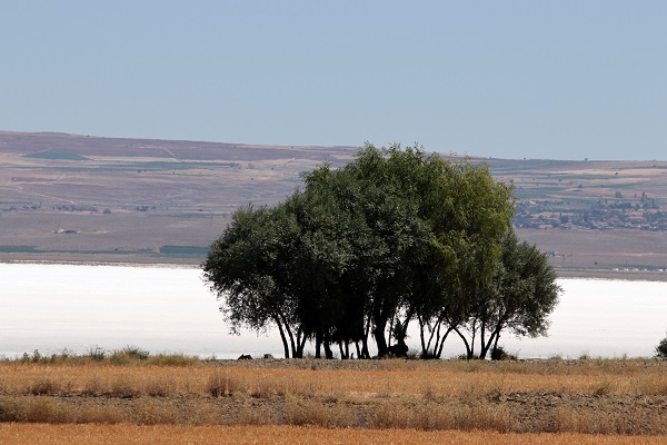 Foto - Kuraklıkta gelinen son nokta! O gölde su çekildi geride tuz kaldı
