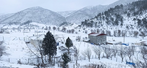 Foto - Kuraklıktan sonra gelen kar yüzleri güldürdü