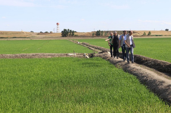 Foto - Kurama noktasına geldi! Kesintili sulama yapılacak