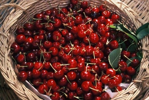 Foto - Kuran-ı Kerim'de adı geçen 6 cennet meyvesi