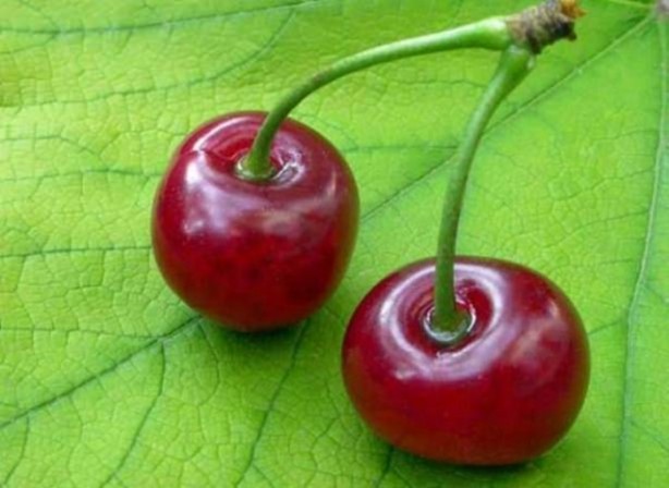 Foto - Kur'an-ı Kerim'de adı geçen meyveler ve sebzeler