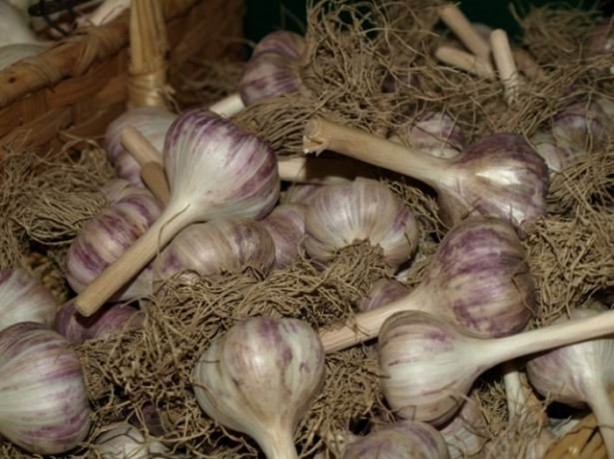 Foto - Kur'an-ı Kerim'de adı geçen meyveler ve sebzeler