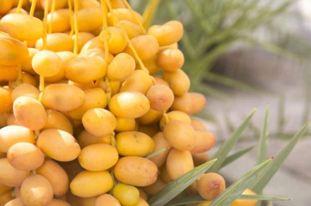 Foto - Kuran-ı Kerim'de adı geçen mucizevi besinler ve faydaları