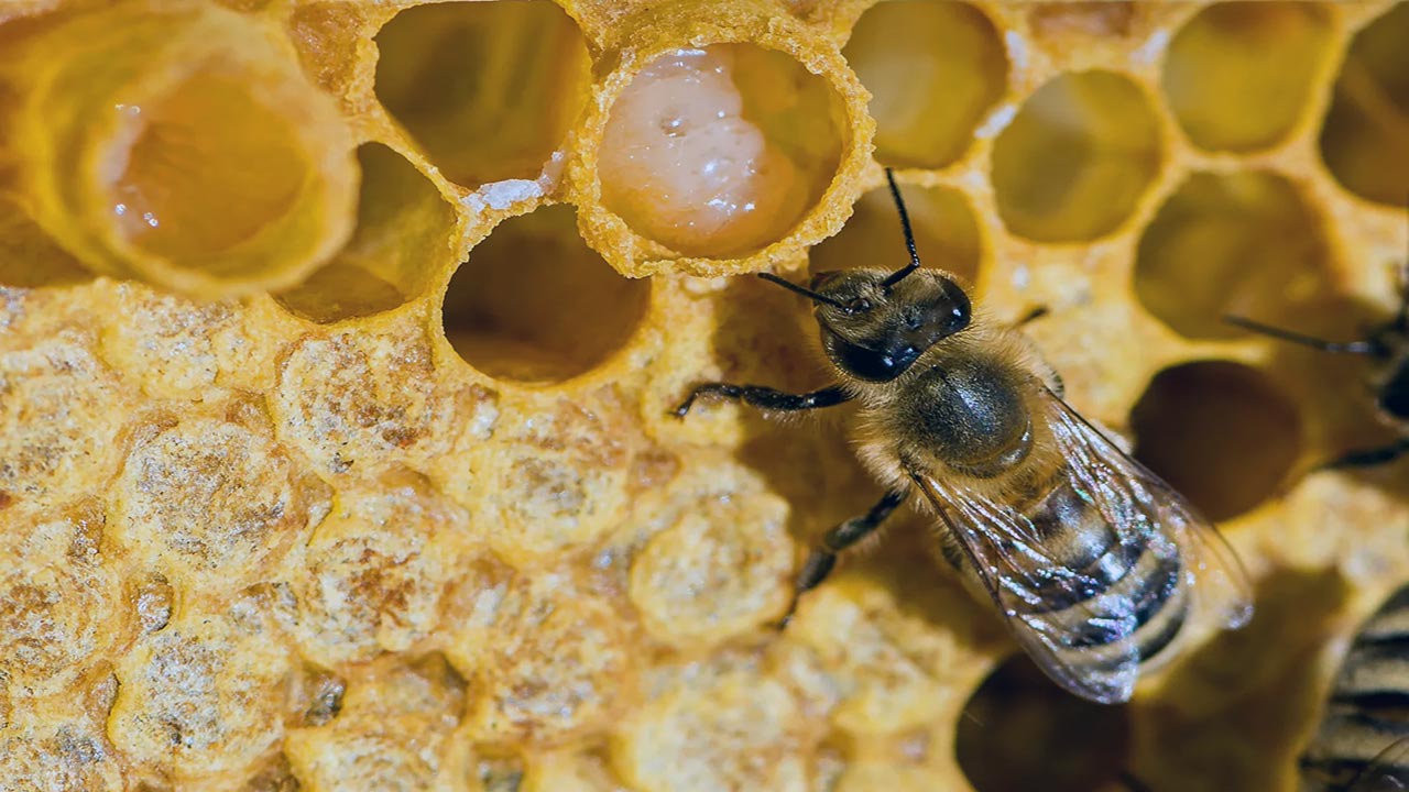 Kur'an-ı Kerim'de adları geçiyor! Bilim adamları şoke oldu