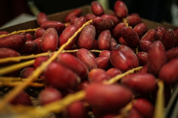 Foto - Kuran-ı Kerim'de adları geçiyor! Hepsi birbirinden faydalı!