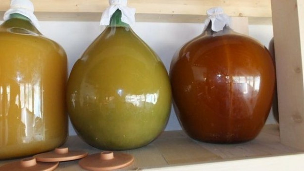 Foto - Kuran-ı Kerim'de adları geçiyor! Hepsi birbirinden faydalı!