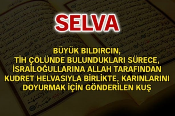 Foto - Kur'an-ı Kerim'de geçen isimler ve anlamları