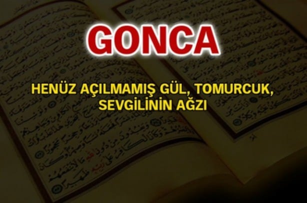 Foto - Kur'an-ı Kerim'de geçen isimler ve anlamları