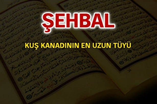 Foto - Kur'an-ı Kerim'de geçen isimler ve anlamları