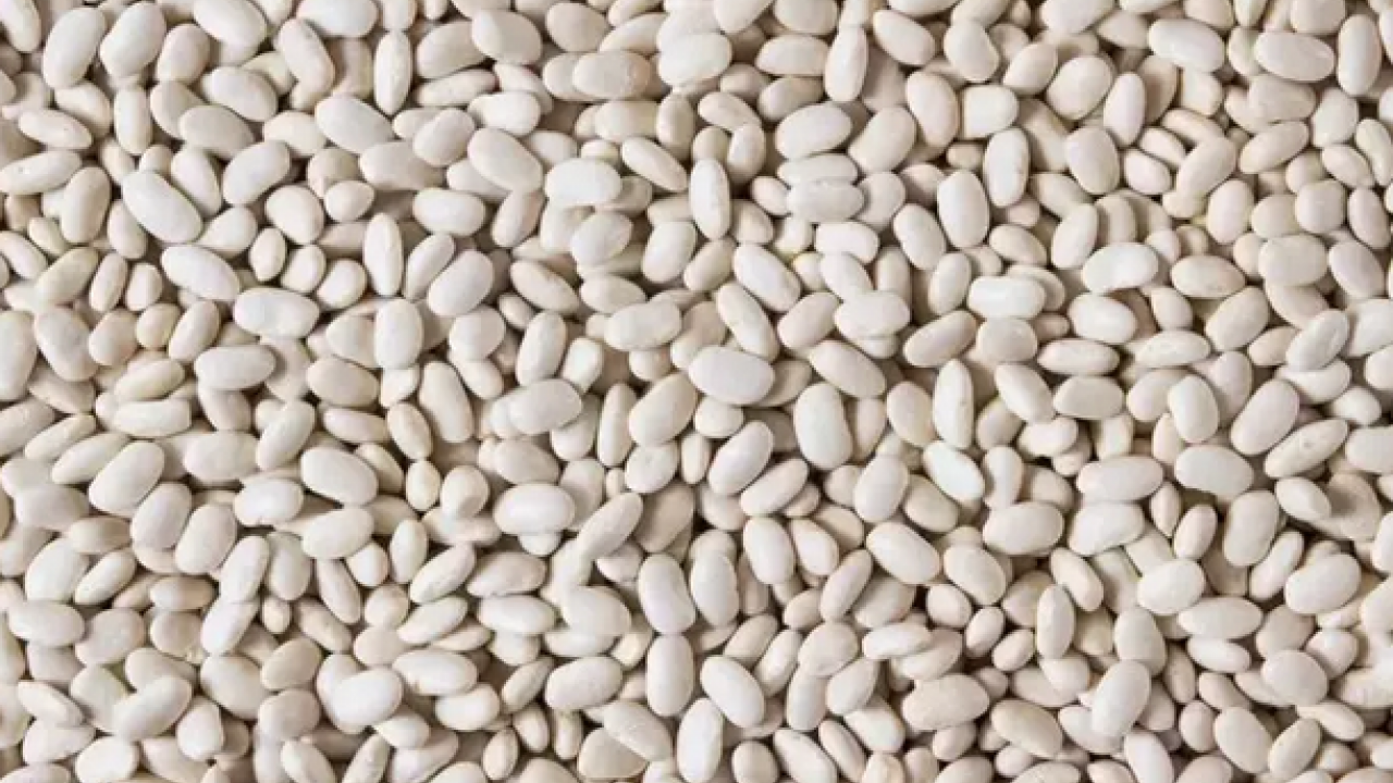 Foto - Demir eksikliğini gideriyor! Kutsal kitapda geçen o besin