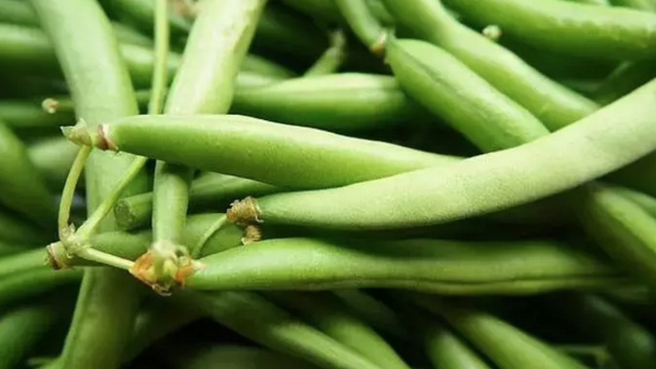 Foto - Demir eksikliğini gideriyor! Kutsal kitapda geçen o besin