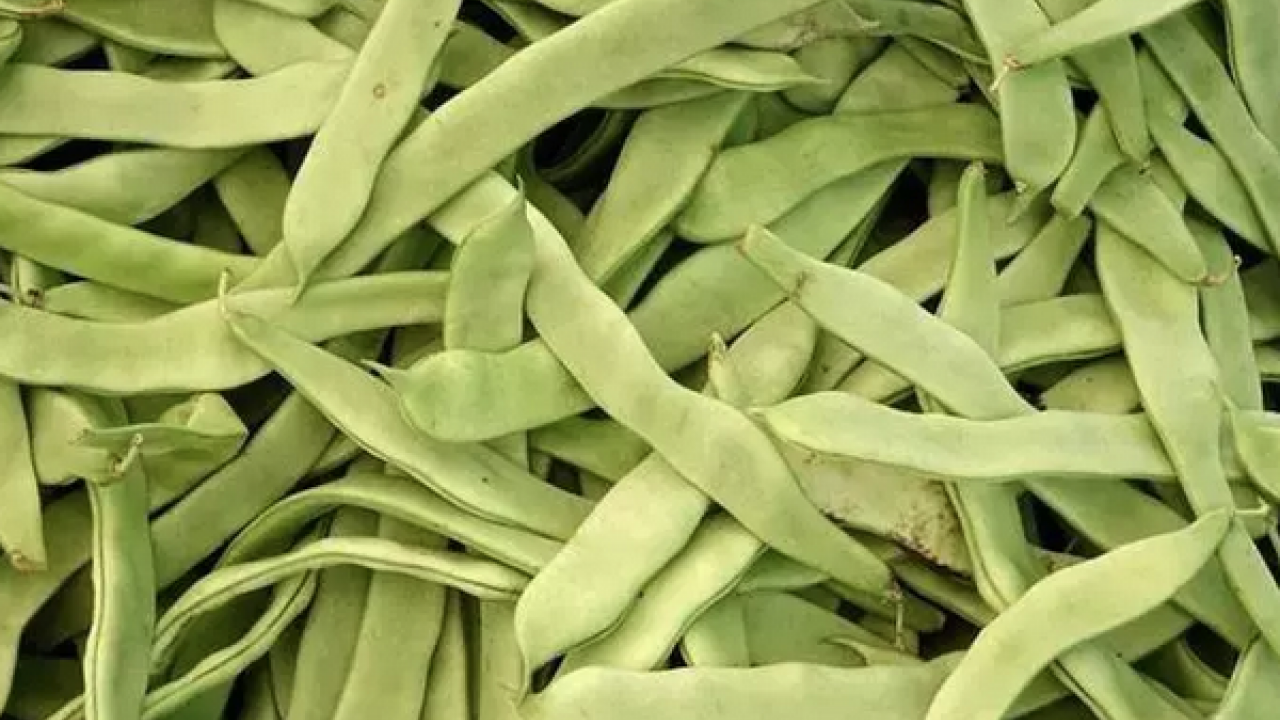 Foto - Demir eksikliğini gideriyor! Kutsal kitapda geçen o besin