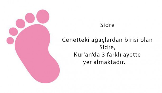 Foto - Kuranda geçen hiç duyulmamış kız bebek isimleri