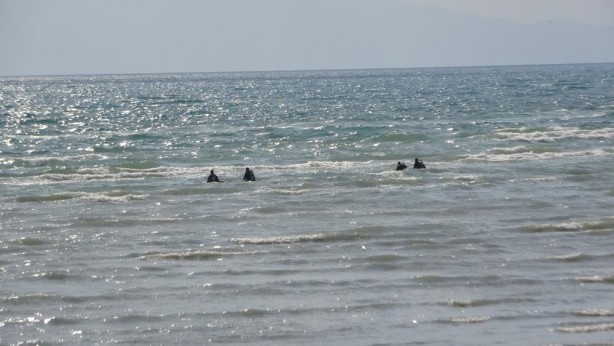 Foto - 'Kurbağa adamlar' Rojin için Van Gölü’ne daldı