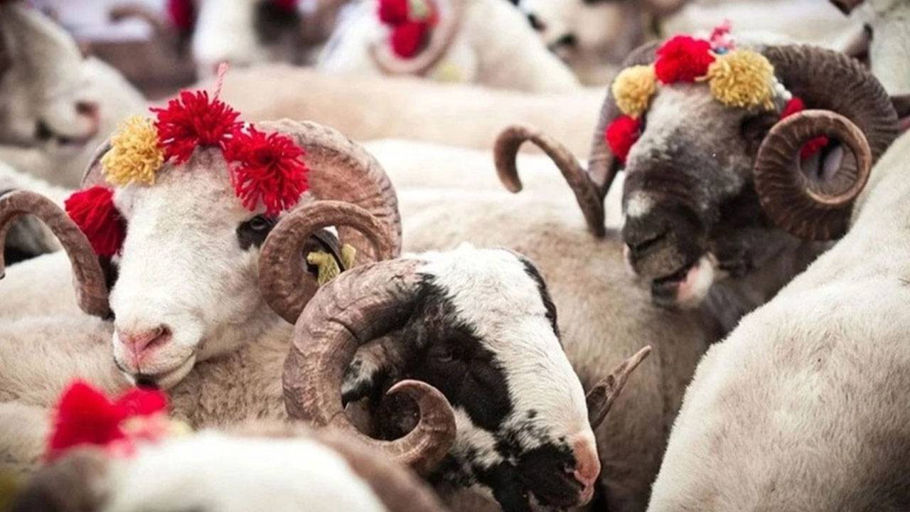 Foto - Kurban Bayramı tarihi değişti: Bu sekiz ülke yarın kutlayacak