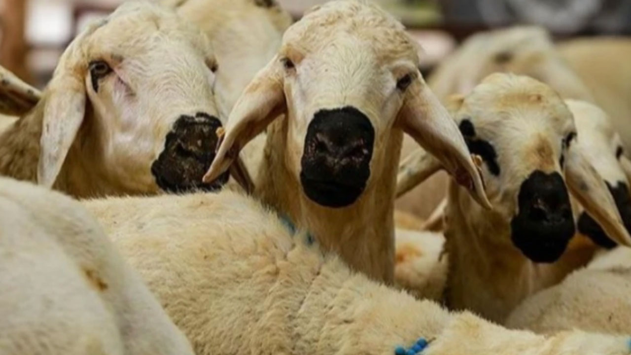 Foto - Kurban Bayramı tarihi değişti: Bu sekiz ülke yarın kutlayacak