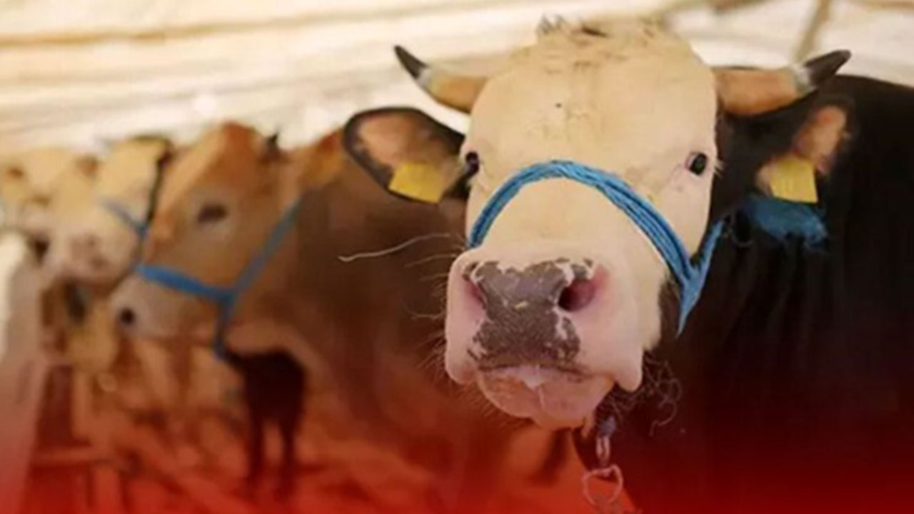 Foto - Kurban Bayramı tarihi değişti: Bu sekiz ülke yarın kutlayacak