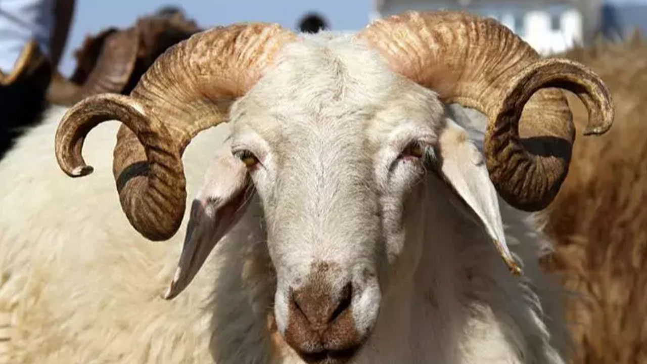 Foto - Kurban Bayramı tarihi değişti: Bu sekiz ülke yarın kutlayacak