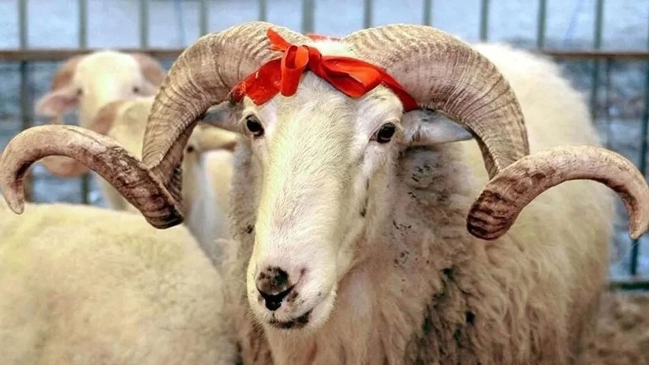 Foto - Kurban Bayramı tarihi değişti: Bu sekiz ülke yarın kutlayacak