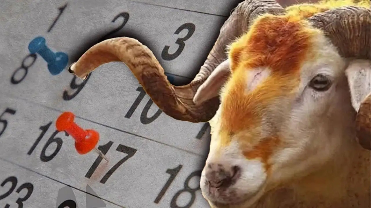 Kurban Bayramı tatili 9 gün olacak mı? Milyonların merakla beklediği açıklama az önce geldi