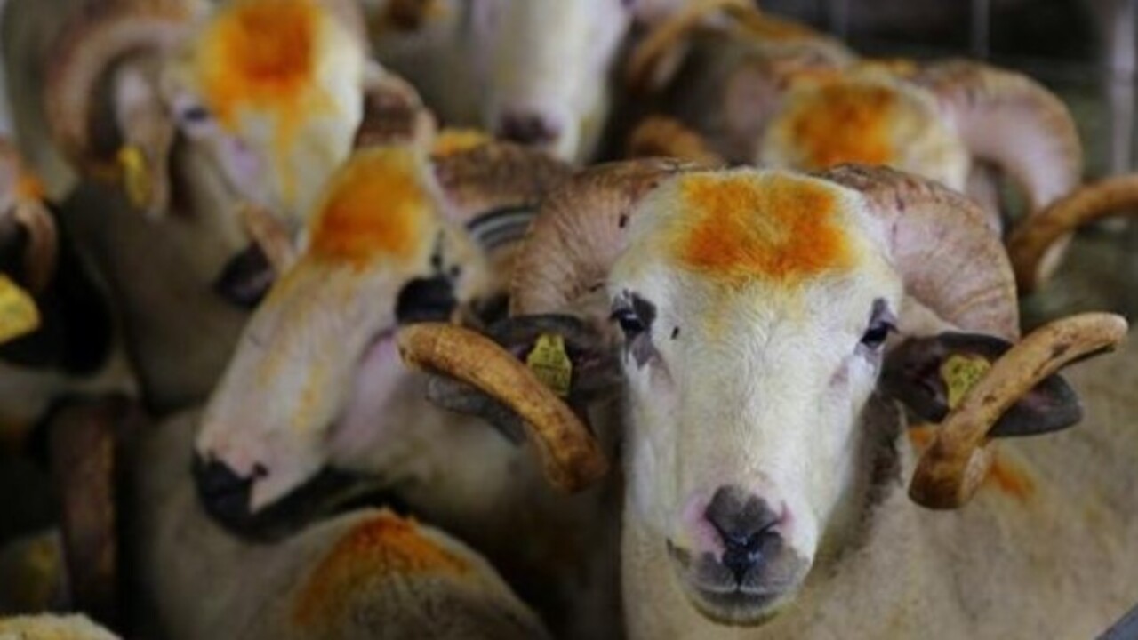 Foto - Kurban Bayramı tatili ne zaman başlayacak ve kaç gün sürecek?