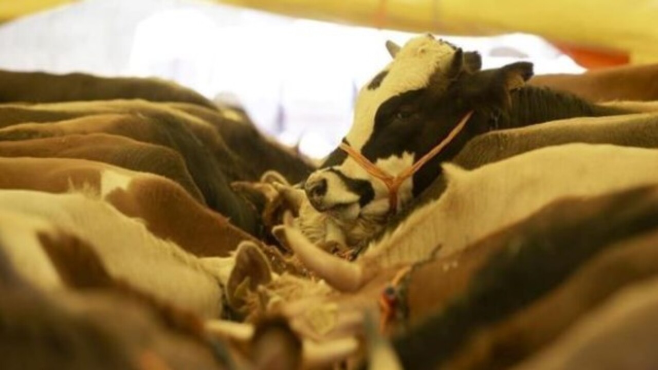 Foto - Kurban Bayramı tatili ne zaman başlayacak ve kaç gün sürecek?