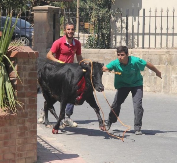 Foto - Kurban Bayramı'na bu kareler damga vurdu