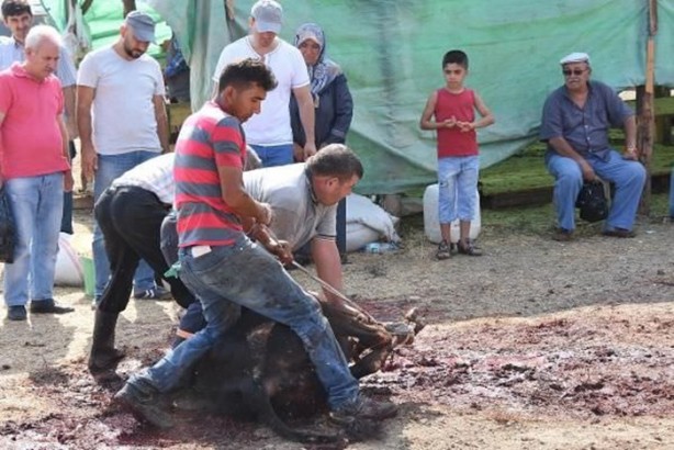 Foto - Kurban Bayramı'na bu kareler damga vurdu