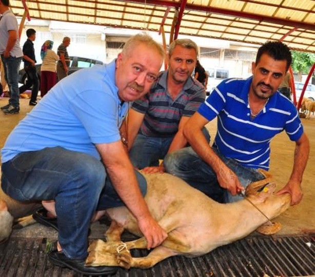 Foto - Kurban Bayramı'na bu kareler damga vurdu