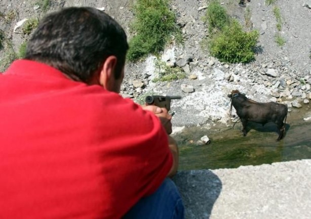 Foto - Kurban Bayramı'na bu kareler damga vurdu