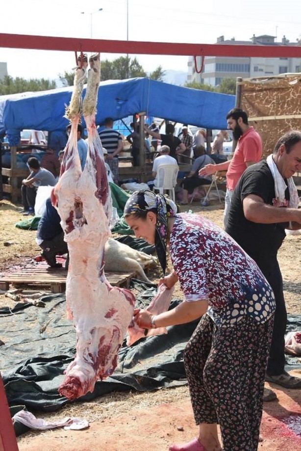 Foto - Kurban Bayramı'na bu kareler damga vurdu