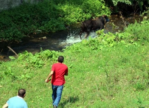 Foto - Kurban Bayramı'na bu kareler damga vurdu