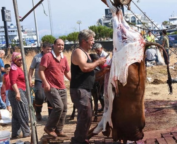 Foto - Kurban Bayramı'na bu kareler damga vurdu