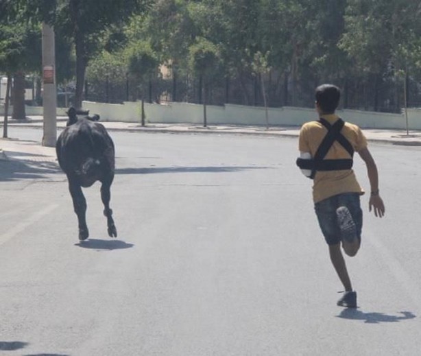 Foto - Kurban Bayramı'na bu kareler damga vurdu