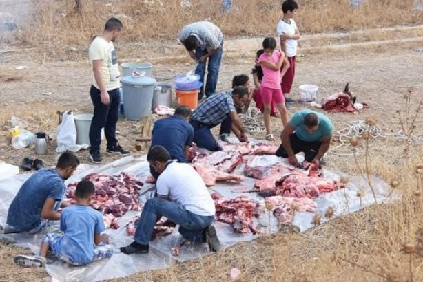 Foto - Kurban Bayramı'na bu kareler damga vurdu