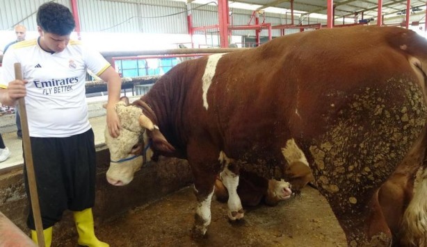Foto - Kurban Bayramı’na sayılı günler kaldı! Kıran kırana pazarlık…
