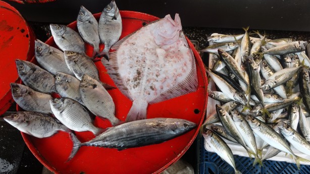 Foto - Kurban eti ve sıcaklıklar, balığa talebi azalttı