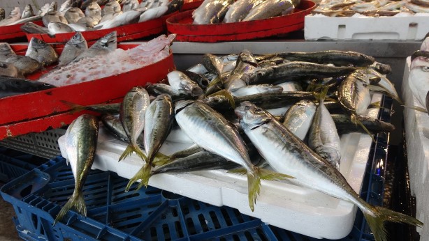 Foto - Kurban eti ve sıcaklıklar, balığa talebi azalttı