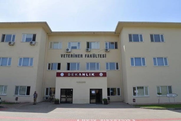 Kurban etine sakın bunu yapmayın! El bombası koymak gibi…