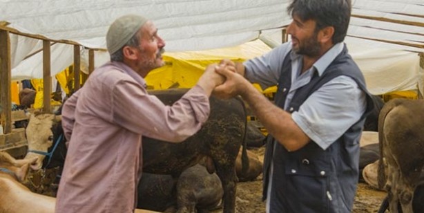 Foto - Kurban fiyatları ne kadar küçükbaş büyükbaş kurbanlık fiyatları belli oldu mu?