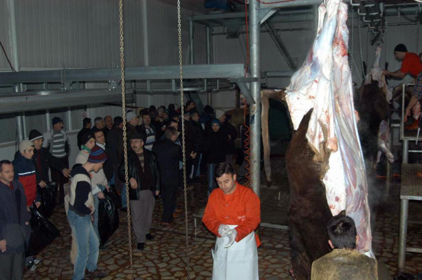 Foto - Kurban nasıl kesilir?