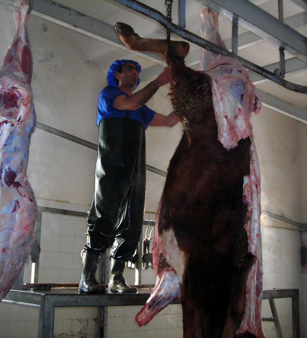 Foto - Kurban nasıl kesilir?